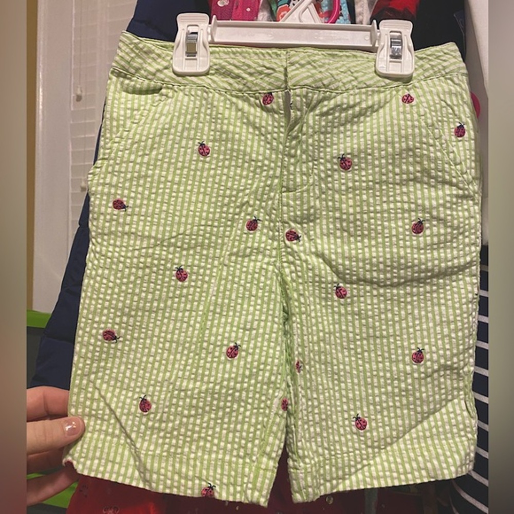 Lady Bug 🐞 Knee Length Shorts